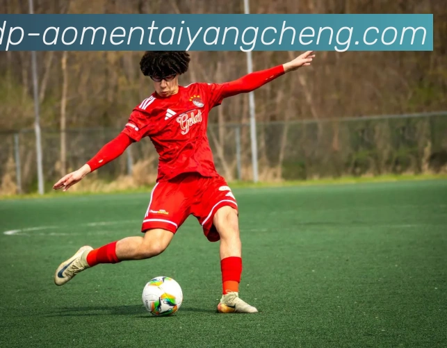 澳门太阳城品牌故事